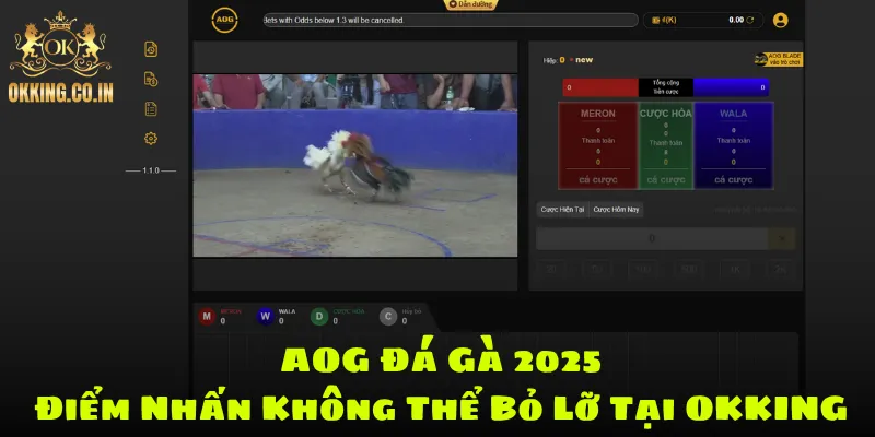 AOG đá gà