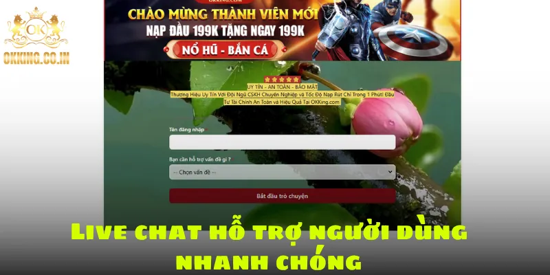 Live chat hỗ trợ người dùng nhanh chóng