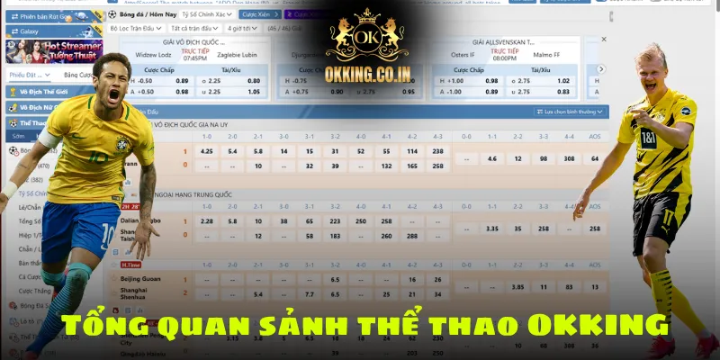 Tổng quan sảnh thể thao OKKING