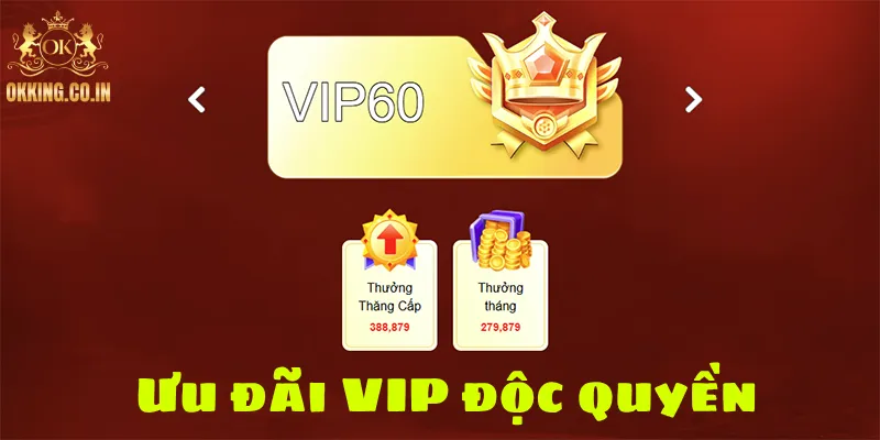 Ưu đãi VIP độc quyền